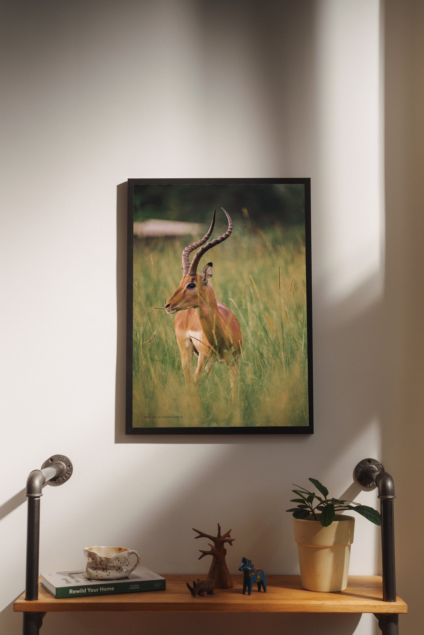 Print #06 Parc de la Lekedi, Gabun (DIN A2)