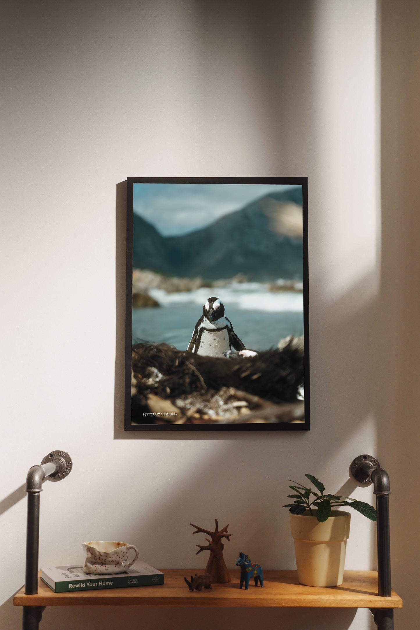 Print #12 Betty's Bay, Südafrika (DIN A2)