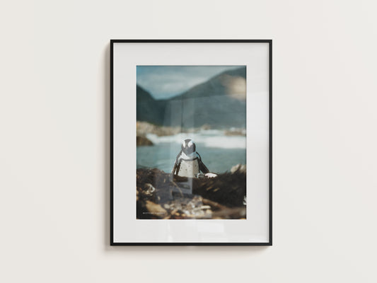 Print #12 Betty's Bay, Südafrika (DIN A2)