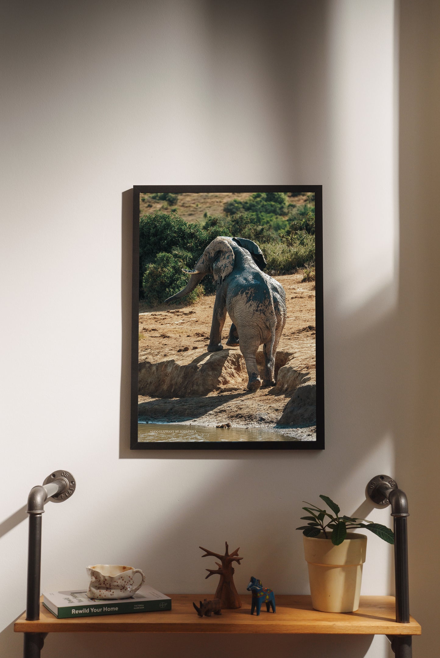 Print #13 Addo Elephant National Park, Südafrika (DIN A2)