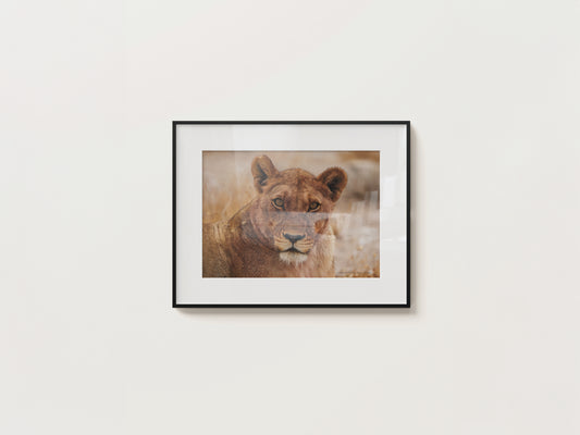 Print #08 Etosha National Park, Namibia (DIN A2)